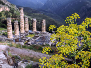 temple-colonnes-apollon-delphes-grece