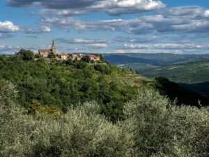 vue-ensemble-face-ouest-groznjan-croatie