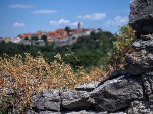 vue-ensemble-face-sud-labin-croatie
