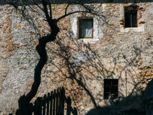 arbre-maison-pierre-rue-calascio-italie