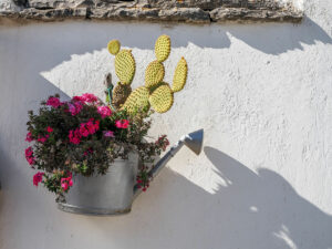 arrosoir-plante-decoration-maison-alberobello-italie