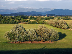campagne-lac-slansko-bubrezak-montenegro