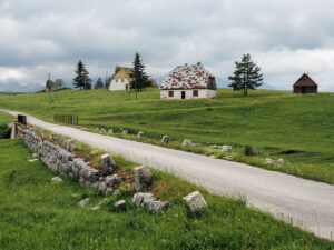 campagne-novakovici-montenegro