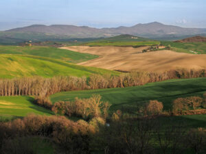 campagne-toscane-san-quirico-orcia-italie