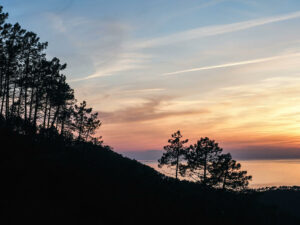 coucher-soleil-crete-arbres