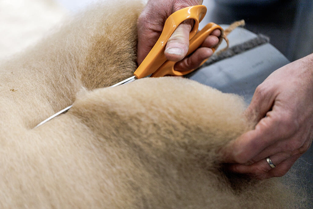 coupe-feutre-laine-alpaga