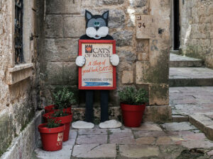 enseigne-chat-rue-centre-ancien-kotor-montenegro