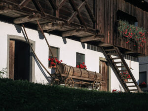 facade-chalet-blejska-dobrava-gorges-vintgar-slovenie
