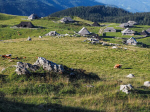 ferme-paturages-velika-planina-slovenie