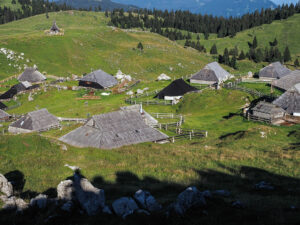 ferme-paturages-velika-planina-slovenie