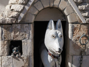 figurines-chiens-niche-maison-alberobello-italie