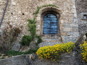 fleurs-jaune-porte-bois-bleue-maison-sant-agata-goti-italie