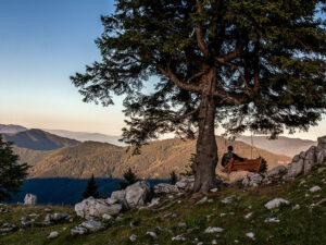 homme-banc-assis-arbre-velika-planina-slovenie