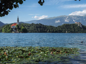 ile-eglise-assomption-marie-nenuphars--lac-bled-slovenie