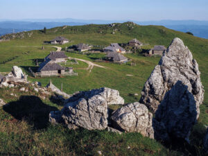 mala-planika-slovenie