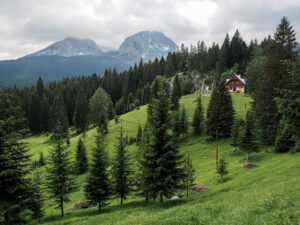 montagnes-parc-durmitor-zabljak-montenegro