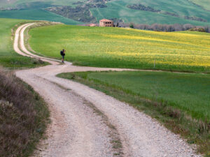 photographe-campagne-toscane-san-quirico-orcia-italie