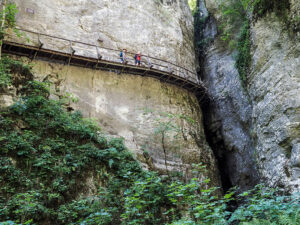 randonneurs-passerelle-gorges-pokljuka-slovenie
