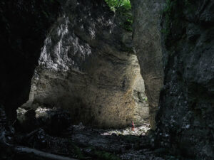 randonneuse-gorges-pokljuka-slovenie