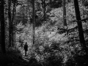 randonneuse-sentier-foret-gorges-pokljuka-slovenie