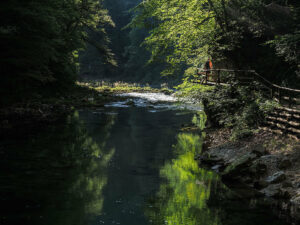visiteur-gorges-vintgar-slovenie