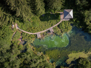 vue-aerienne-lac-zelenci-slovenie