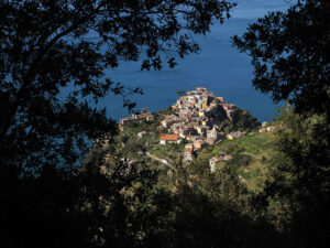 vue-hauteur-corniglia-cinque-terre-italie