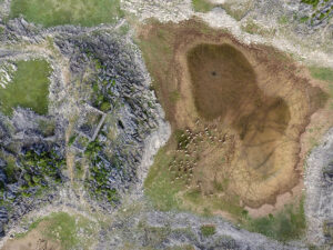 vue-verticale-moutons-lac-slansko-bubrezak-montenegro