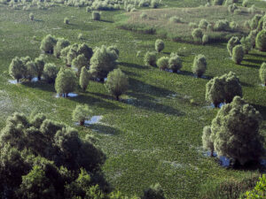 zone-humide-riviere-rijeka-crnojevica-montenegro