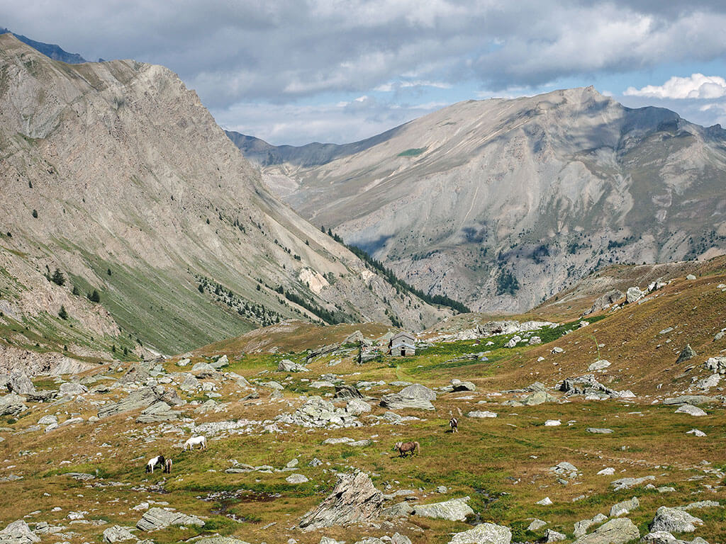 bergerie-vallon-mary-alpes-haute-provence