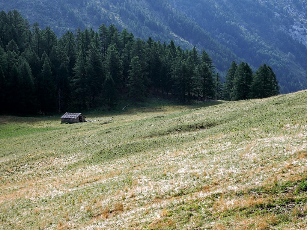 chalet-medille-g58-hautes-alpes