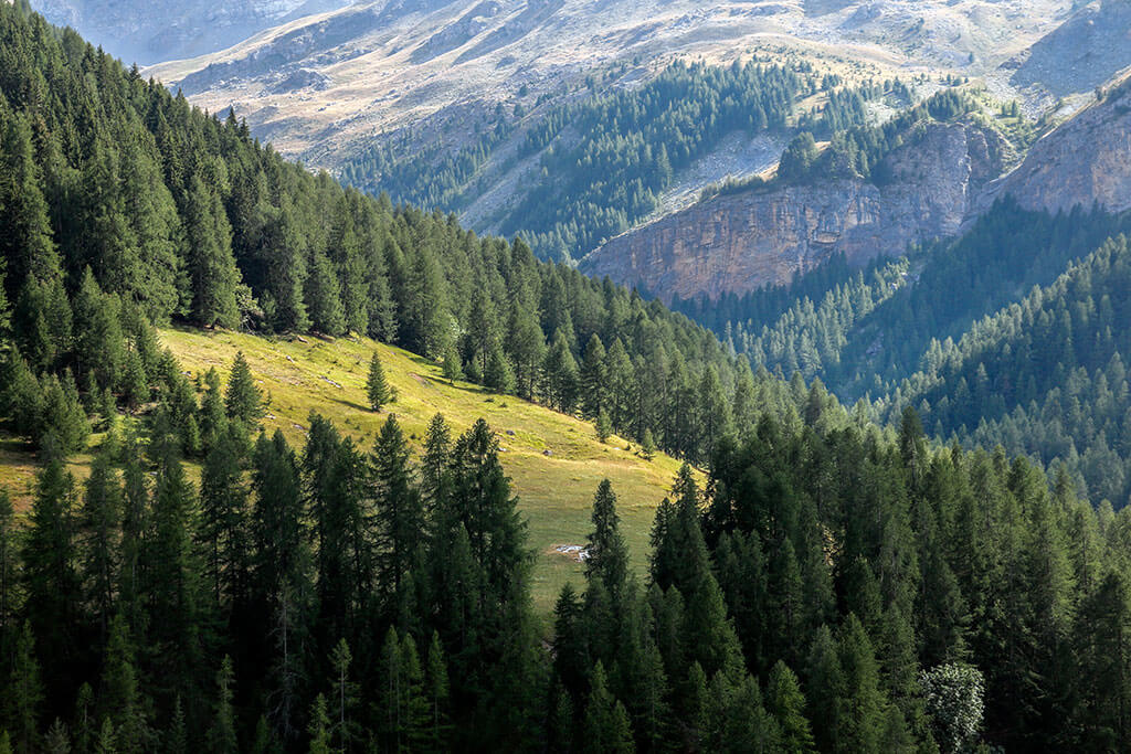 clot-laugier-roya-gr5-alpes-maritimes