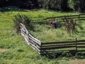 femme-agee-jardin-campagne-monts-apuseni-roumanie