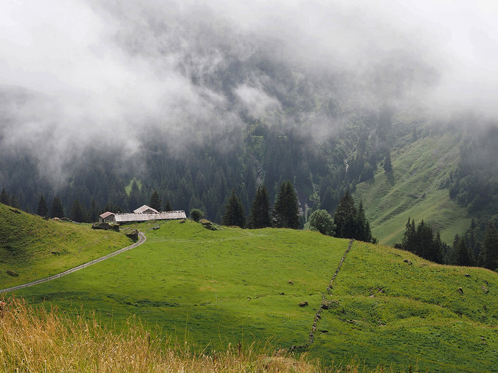 ferme-alpage-gr5-haute-savoie