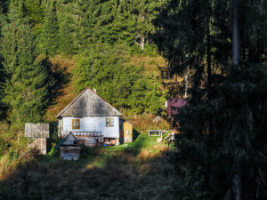 ferme-bois-monts-apuseni-roumanie