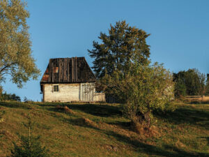 ferme-campagne-monts-apuceni-roumanie