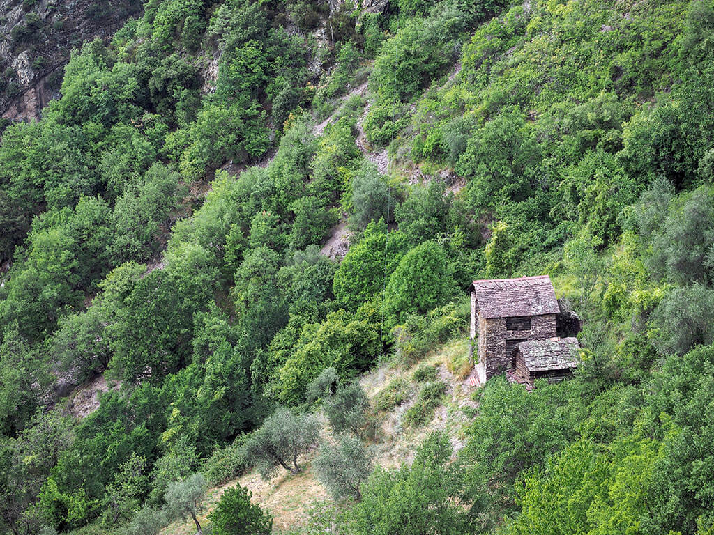 maison-bois-vallee-roure-gr52a-alpes-maritimes