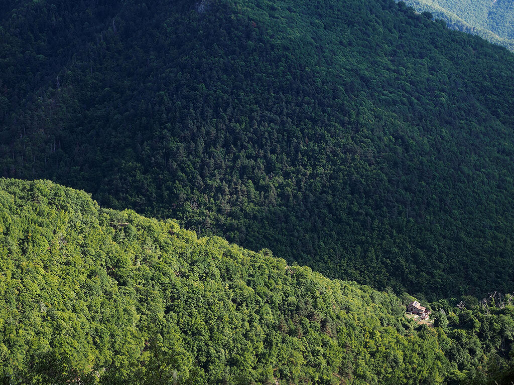 maison-foret-moulinet-alpes-maritimes