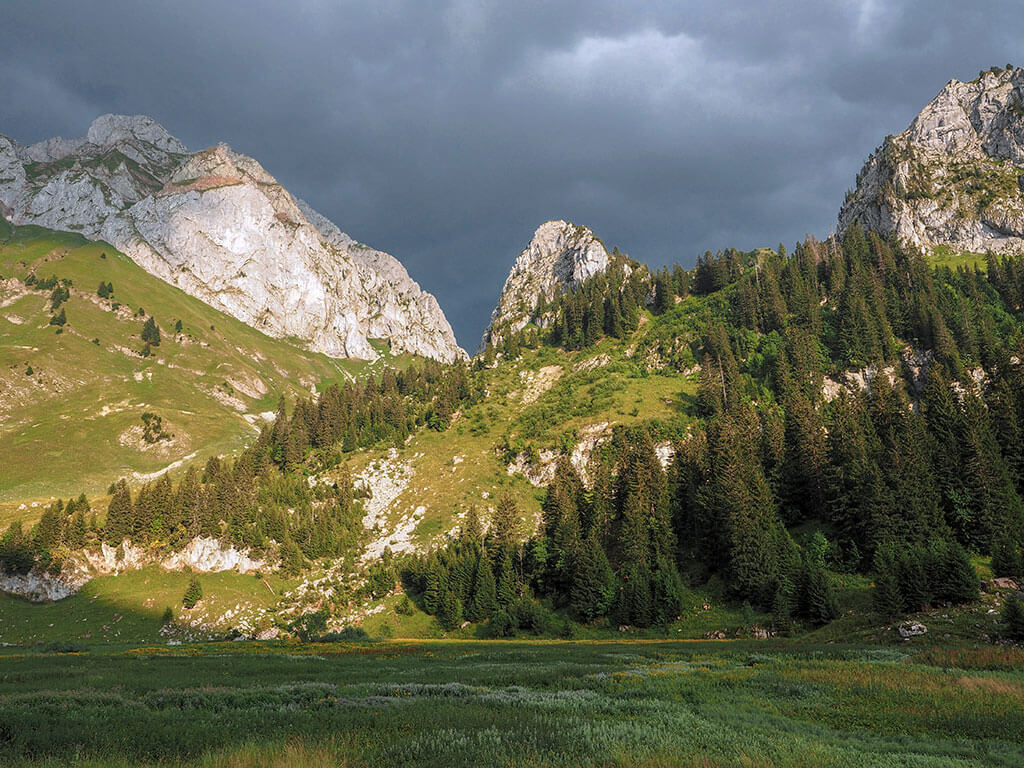 marais-bise-gr5-alpes-haute-savoie