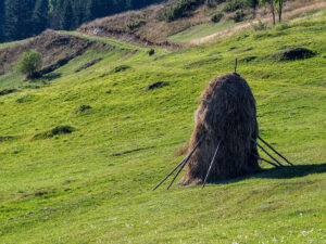 meule-foin-campagne-monts-apuseni-roumanie