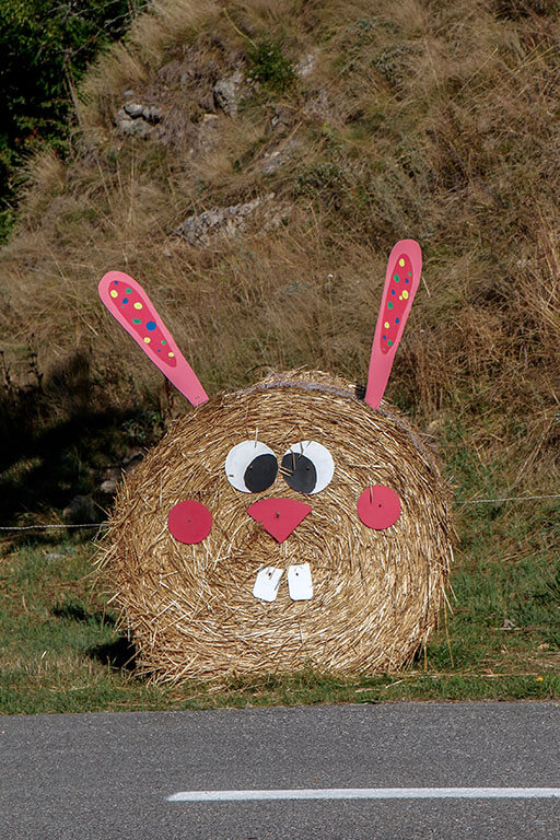 meule-foin-lapin-route