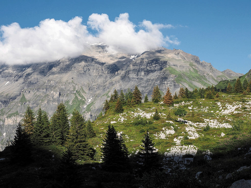 montagne-anterne-gr5-alpes-haute-savoie