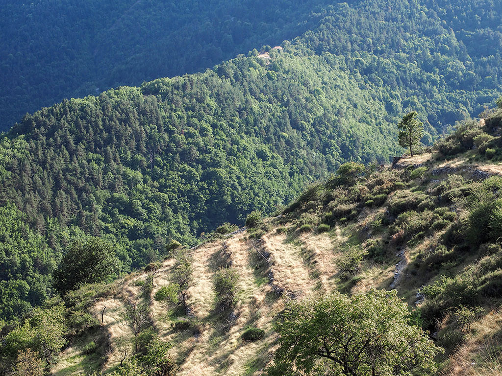 montagnes-moulinet-gr52a-alpes-maritimes