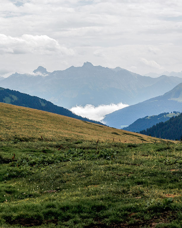 paturages-zone-naturelle-mont-grange-gr5-alpes-haute-savoie