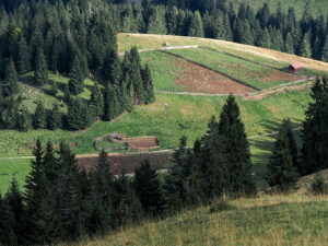paysage-campagne-champs-monts-apuseni-roumanie