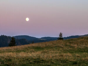 paysage-campagne-monts-apuseni-roumanie