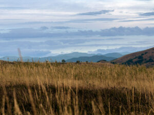 paysage-campagne-volcans-boue-policiori-roumanie