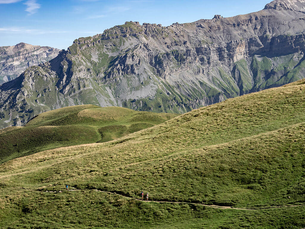 randonneurs-montagne-anterne-gr5-alpes-haute-savoie