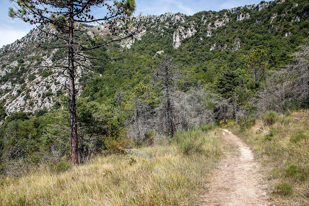 sentier-hauteurs-menton-gr52-alpes-maritimes