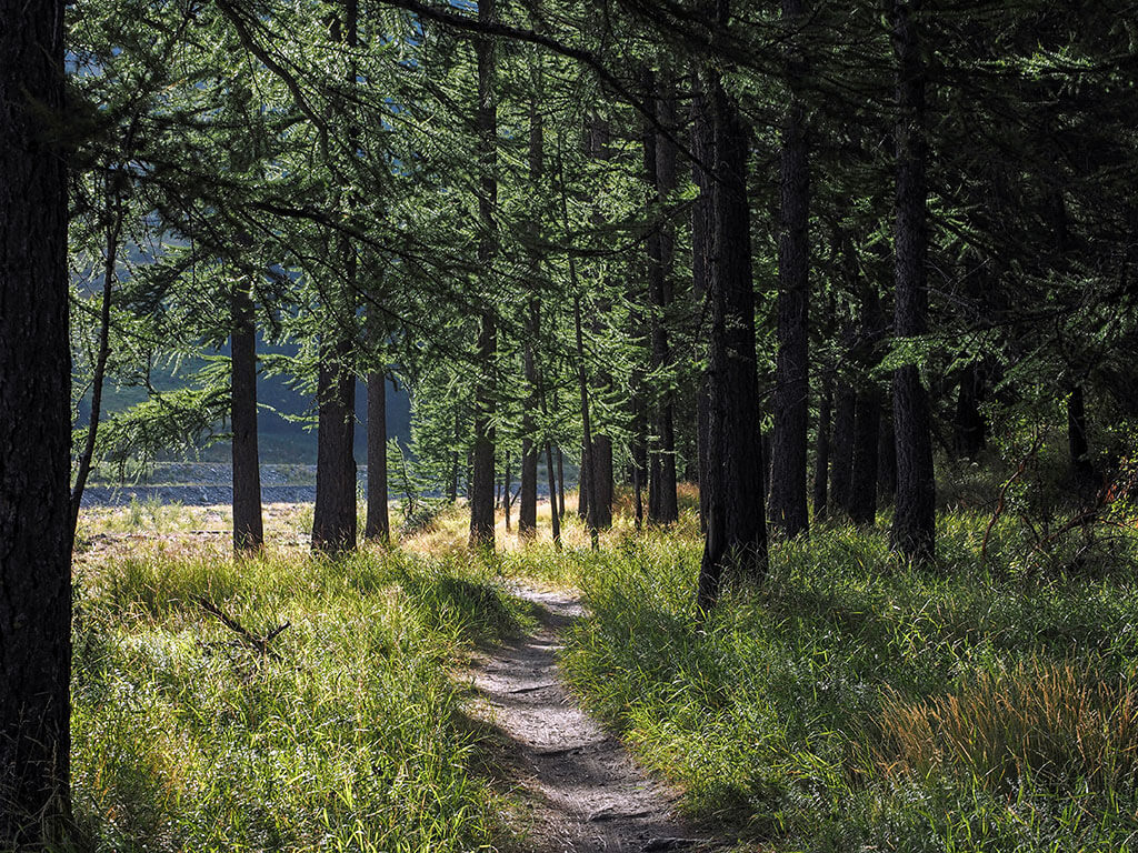 sentier-vallee-guil-gr58-hautes-alpes